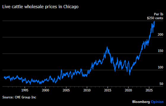 Live Cattle Wholesale Prices in Chicago